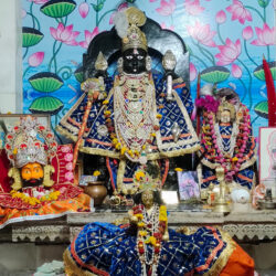 आज नाव मनोरथ से शुरू होंगे श्रीधर भगवान के कार्यक्रम