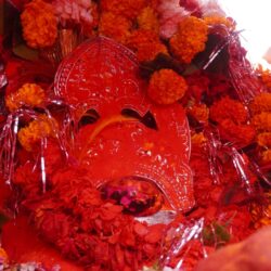जलझूलनी एकादशी - गुलाल और बरसात से सराबोर होकर सरोवर पर पहुंचे ठाकुरजी