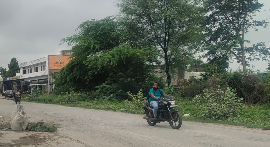 आराजी नंबर 62 - पालिका अपना हक भूलकर भूमाफियाओं को बांटे करोड़ों की जमीन के पट्टे